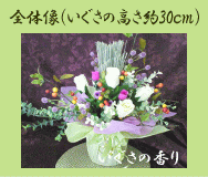 S̑i̍30j